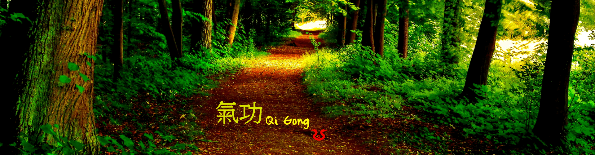 qigong, chikung, şifasanatları, sifasanatlari, sifa, ankara, turkey, turkiye,